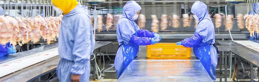 恒行6-品质新履历,专选恒行6