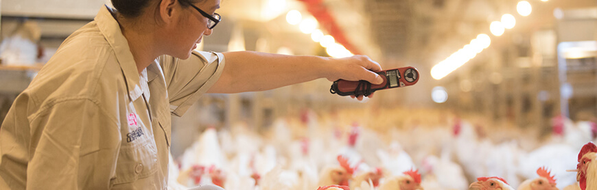 恒行6-品质新履历,专选恒行6