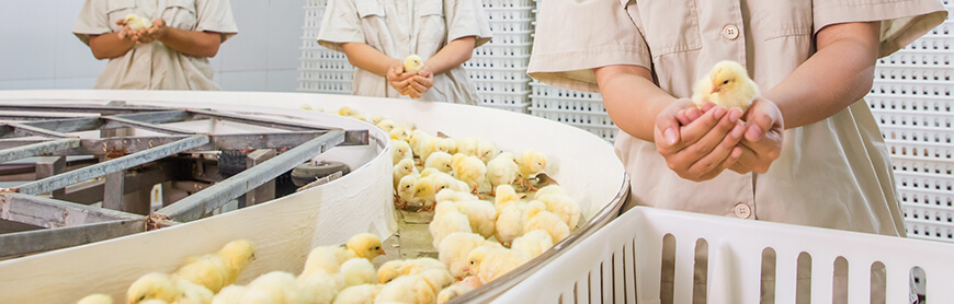 恒行6-品质新履历,专选恒行6