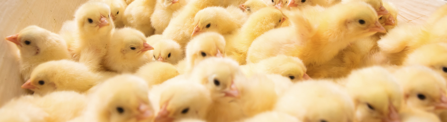 恒行6-品质新履历,专选恒行6