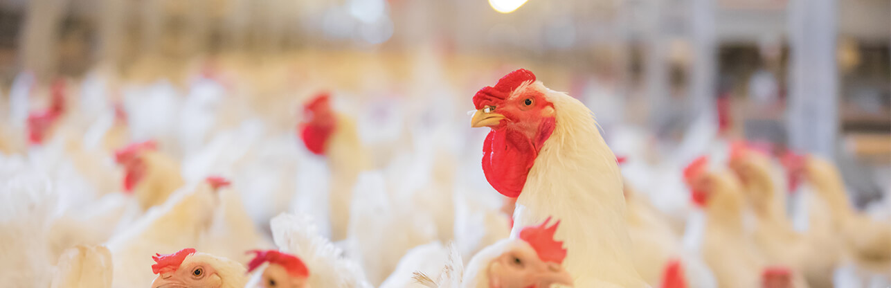 恒行6-品质新履历,专选恒行6