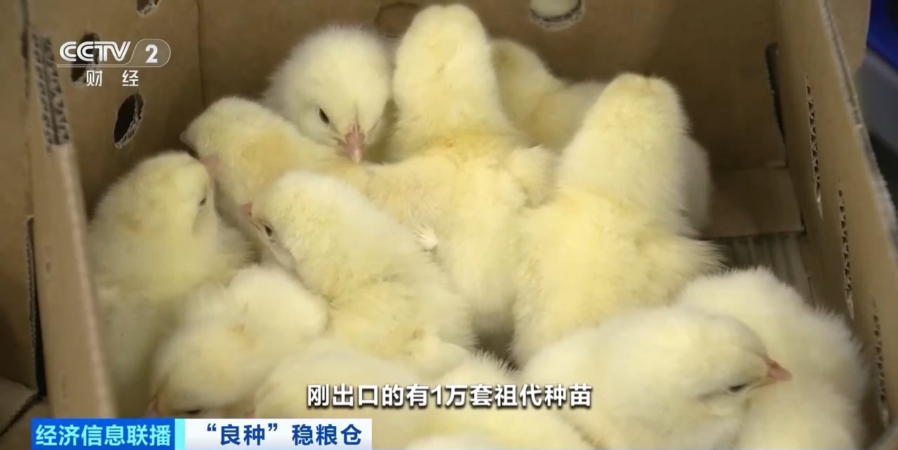 恒行6-品质新履历,专选恒行6